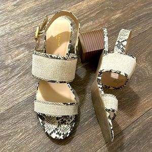 Ann Taylor Chunky Snake-Skin Chunky Heel Sandals